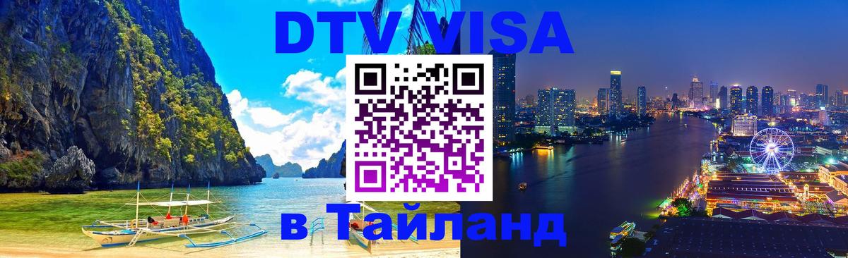 Оформление DTV визы под ключ: стоимость и тарифы, только загранпаспорт - Тирана  20.11.2025 